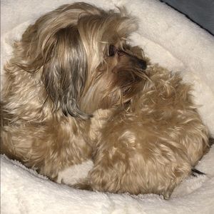 Meet your Posher, Simon